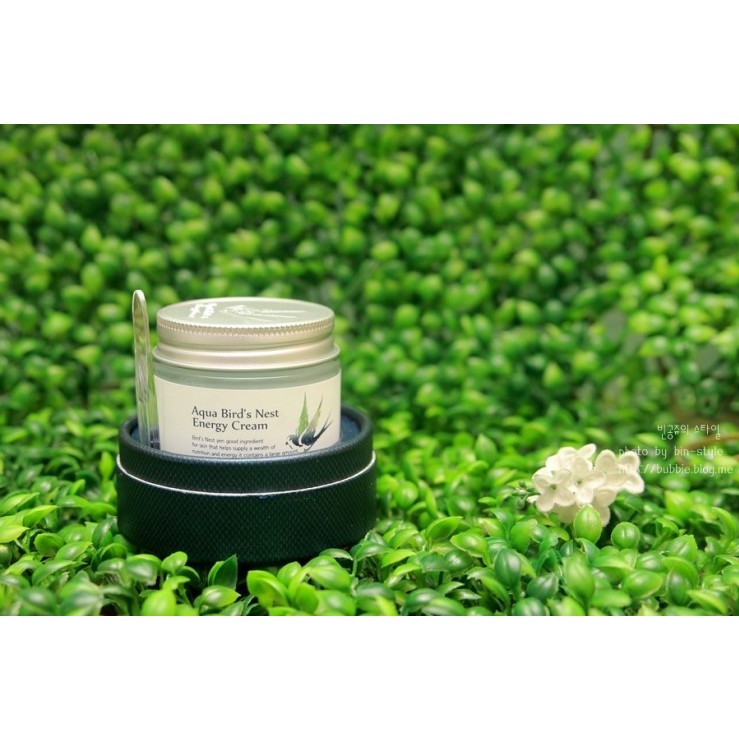 KEM YẾN AQUA BIRD NEST ENERGY CREAM CHÍNH HÃNG