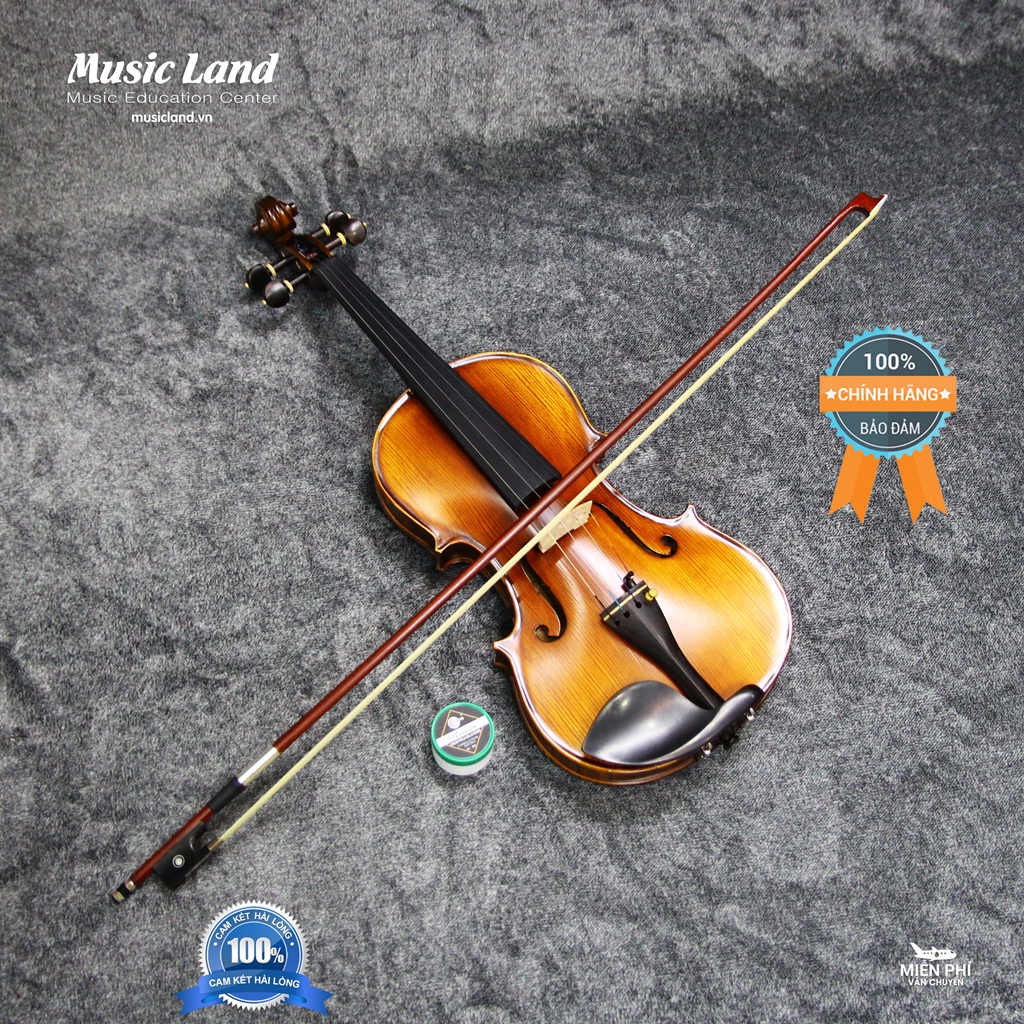 Đàn Violin Amati – Chính Hãng