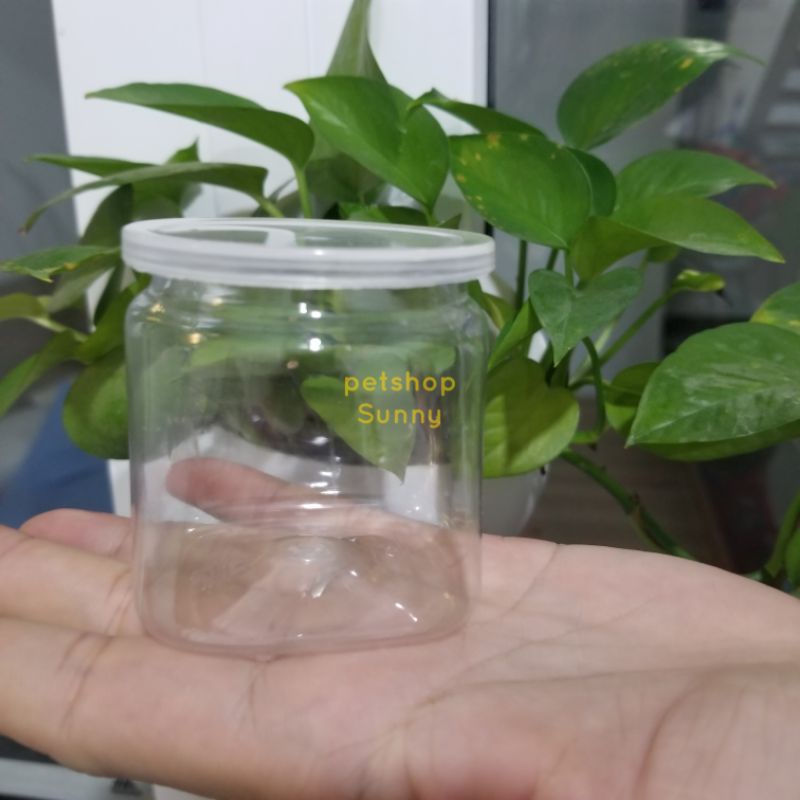 Combo10 Hũ nhựa pet trong suốt đáy tròn/ vuông xinh xắn