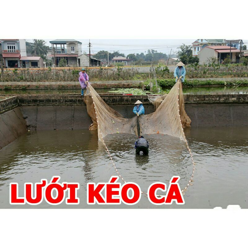 Lưới Kéo cá, vét cá, quét cá cao 2m dài 5m túi 3m hàng cực đẹp