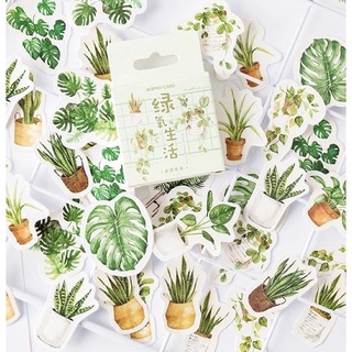Set 45 sticker miếng dán trang trí hình cây