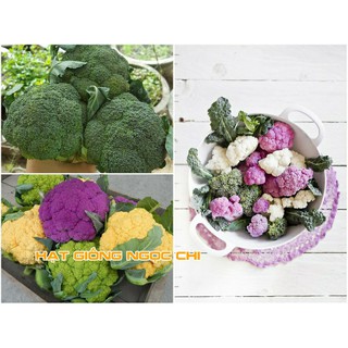 Hạt Giống Rau Súp Lơ Mix - 20 Hạt