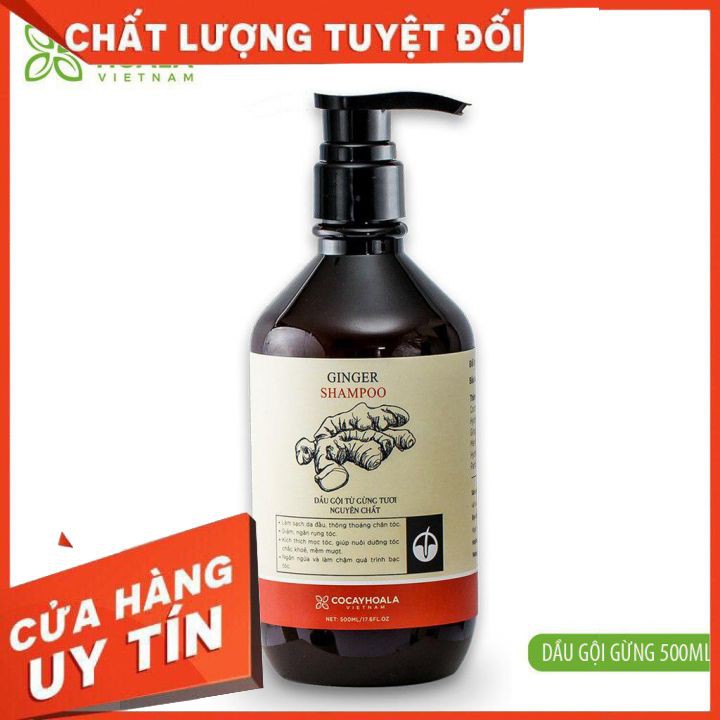 Dầu Gội Gừng trị rụng tóc Cocayhoala 500ml | BigBuy360 - bigbuy360.vn