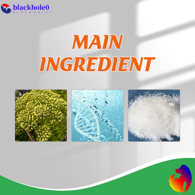 Keo Dán Làm Sạch Kính Xe Hơi Nhanh Chóng Tiện Lợi