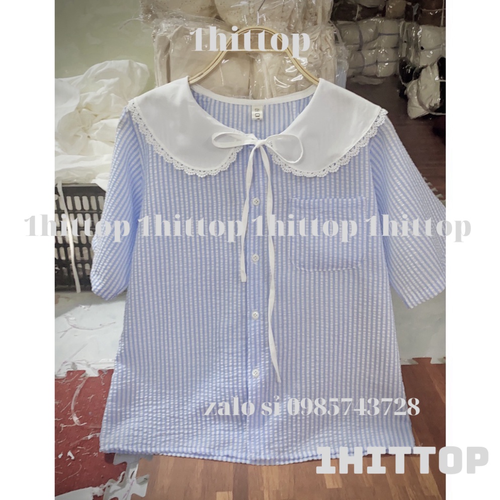 áo sơ mi kẻ cổ bèo tiểu thư 2 màu ngắn tay kaca 1hittop | BigBuy360 - bigbuy360.vn