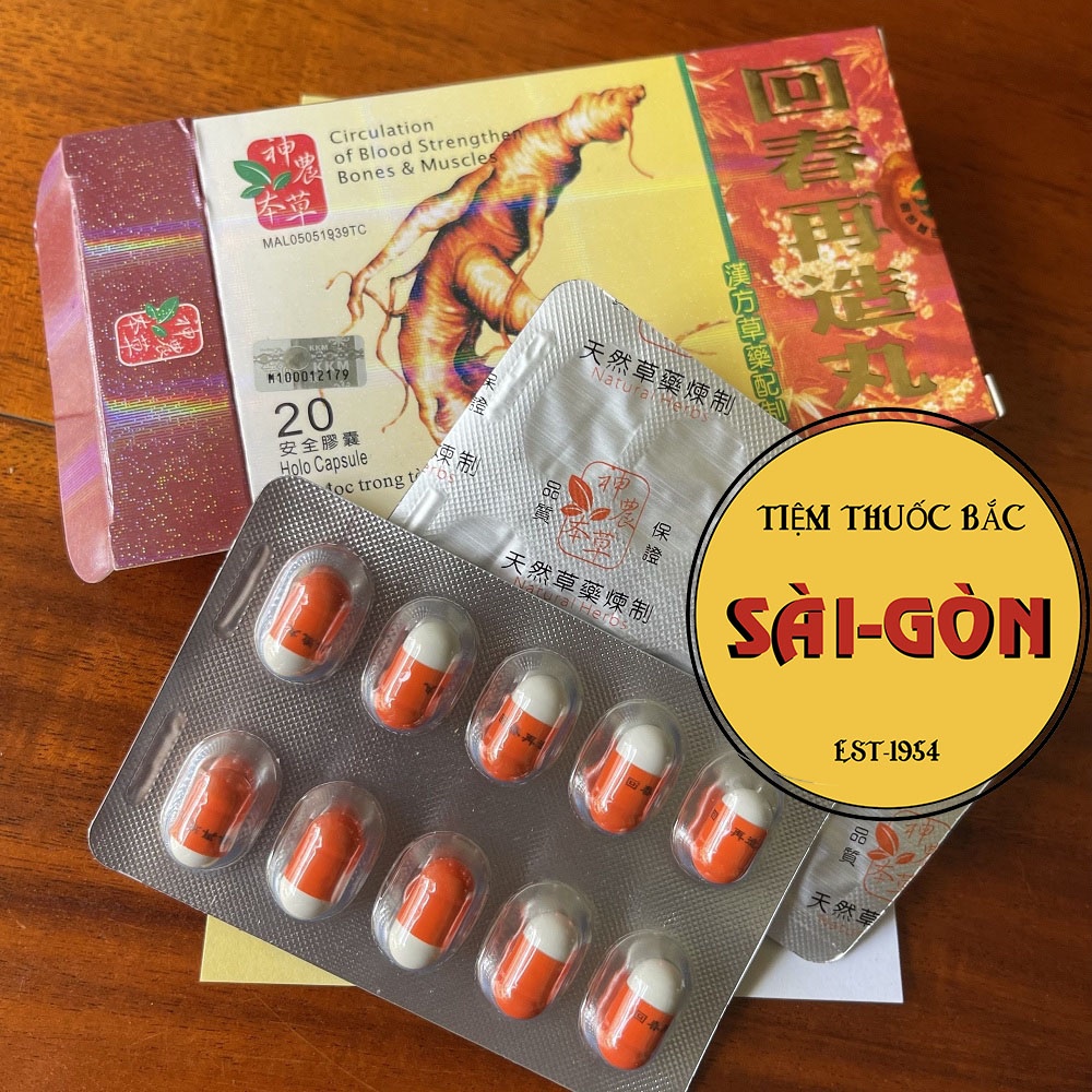 Nhân Sâm Hồi Sinh Tái Tạo Hoàn Malaysia Hộp 20 viên (Hỗ trợ cơ xương khớp)