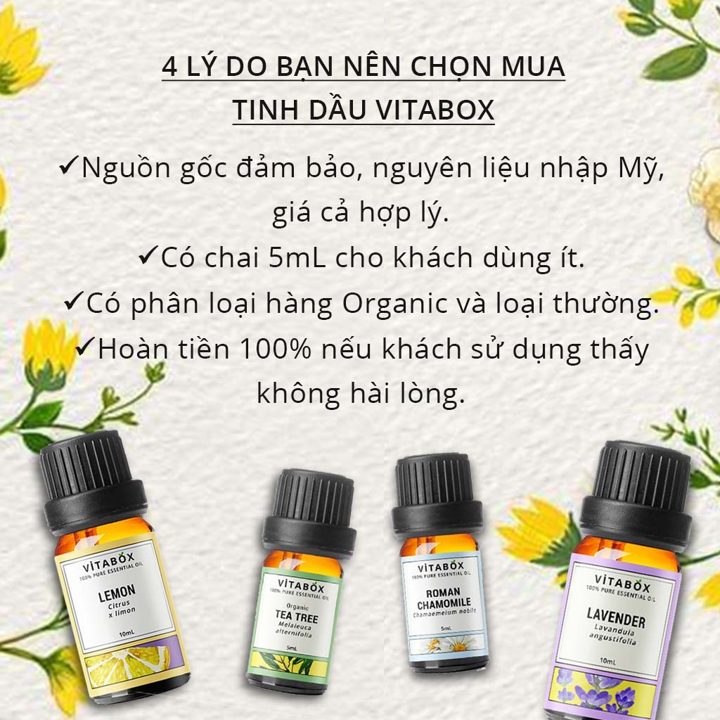 Tinh Dầu Gỗ Đàn Hương Úc (Sandalwood Australian) - 100% Thiên Nhiên Nguyên Chất - Vitabox Natural Essential Oil