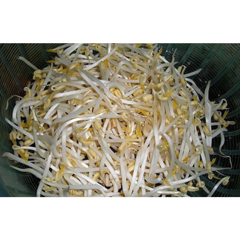 [HOẢ TỐC] - 1KG GIÁ TƯƠI