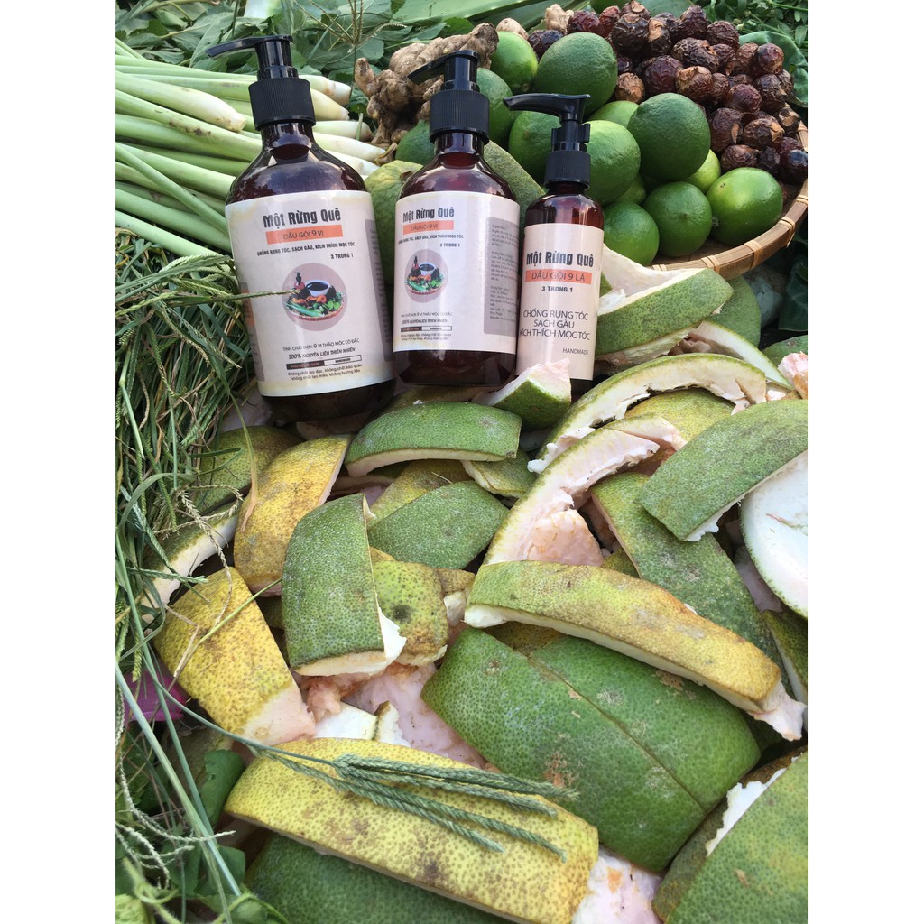 Dầu Gội Sạch Gàu Handmade🌺 9 Loại Thảo Mộc 🌹Quà Tặng 45K- Hỗ Trợ Sạch Gàu, Phục Hồi, Kích Thích Mọc Tóc, Ngăn Nấm Da Đầu | BigBuy360 - bigbuy360.vn