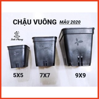 Chậu nhựa trồng sen đá, xương rồng vuông các size