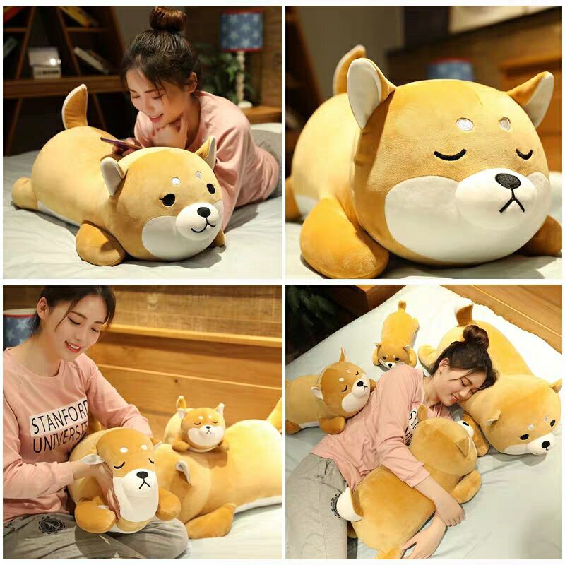 Gối Ngủ Hình Chú Chó Shiba Akita Nhồi Bông Dễ Thương