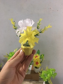10 chậu hoa đá pha lê