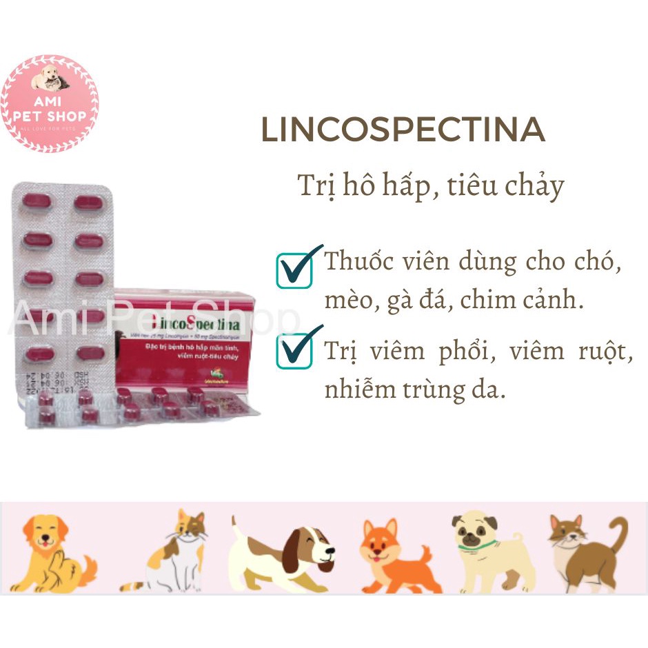 Viên uống Lincospectina Vemedim phòng hô hấp, tiêu hóa cho chim cảnh, gà đá, chó, mèo, hộp 50 viên