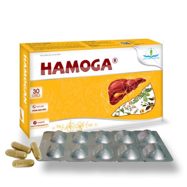 [Chính Hãng] HAMOGA- thanh nhiệt, giải độc gan, hạ men gan, giảm cholesterol - Hộp 30 viên