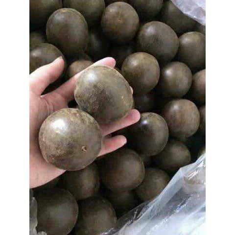 5k/quả  Quả la hán (Chống viêm, giải nhiệt)