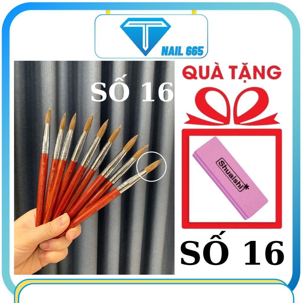 Cọ đắp bột nail Kolinsky , Cọ đắp bột móng nail cao cấp