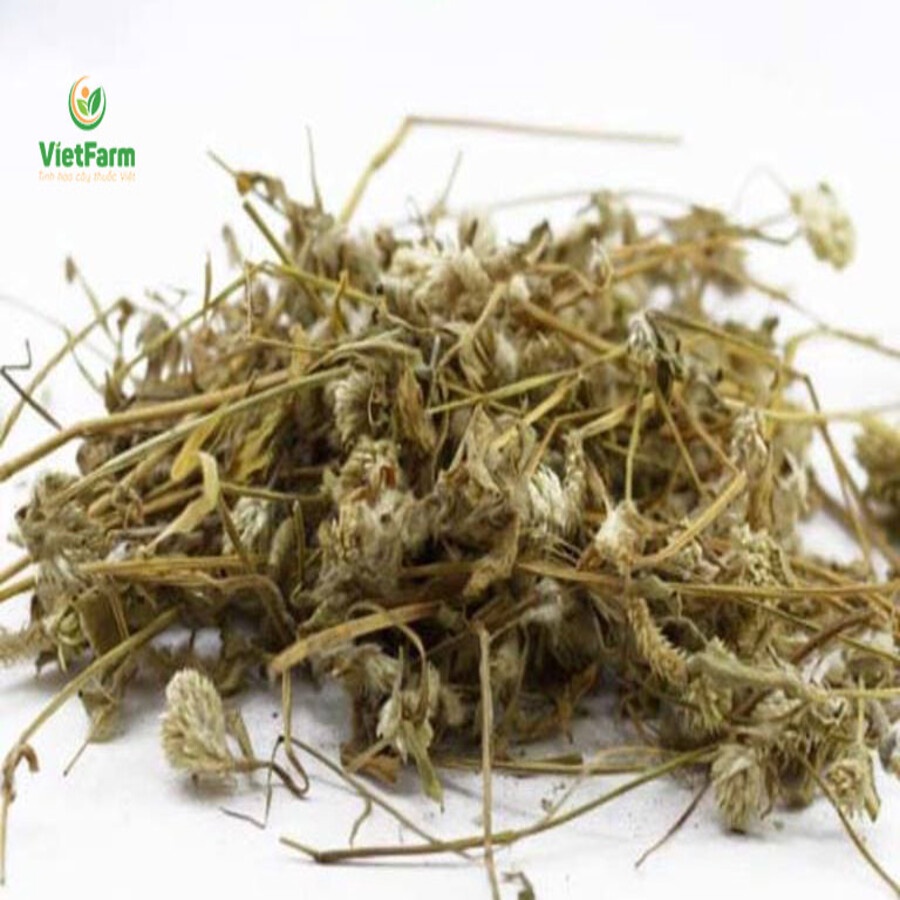 Nở Ngày Đất Phơi Khô Loại Một 01KG