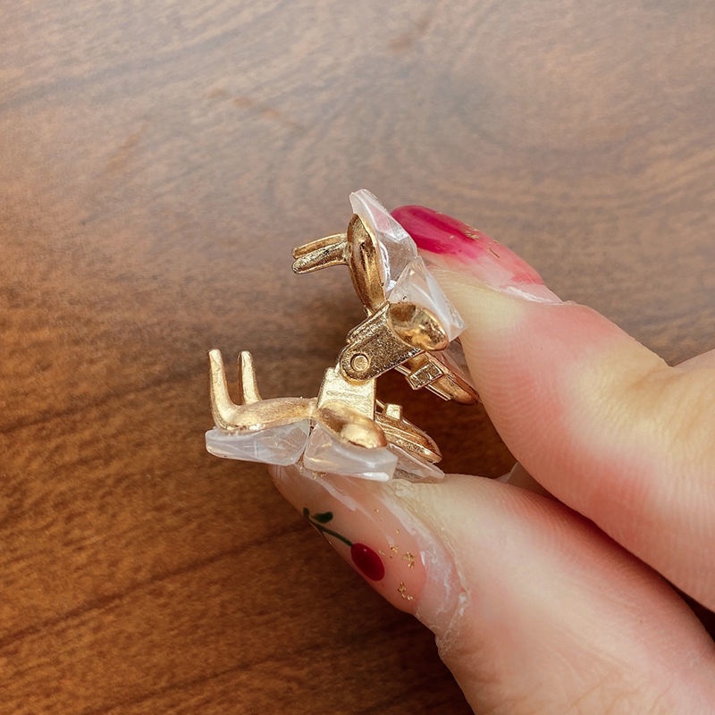 Kẹp Tóc Nữ Đính Đá Hình Hoa Phong Cách Hàn Quốc