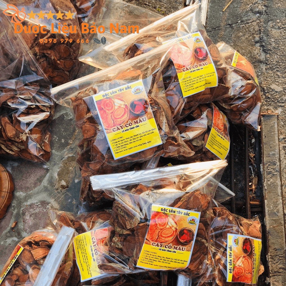 Cây cỏ máu, cỏ béo tăng cân dược liệu quý tại rừng già Sìn Hồ Lai Châu -1kg