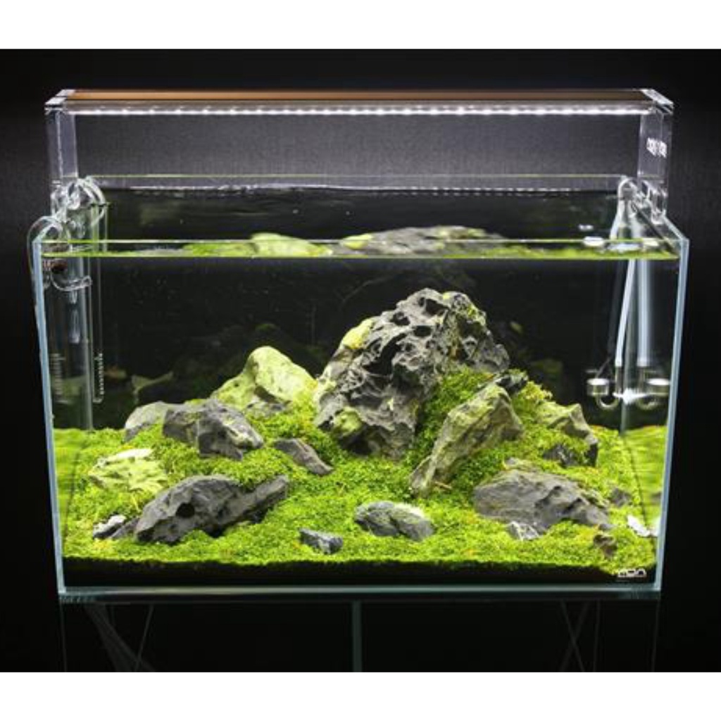 Bể cá mini thủy sinh chất liệu mica để bàn dài 24/ cao14/ sâu 12cm