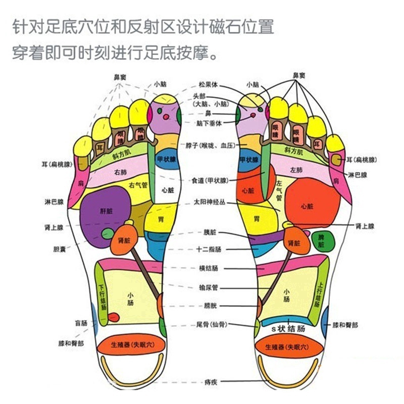 [DS] Miếng Lót Giày Mát Xa Chân