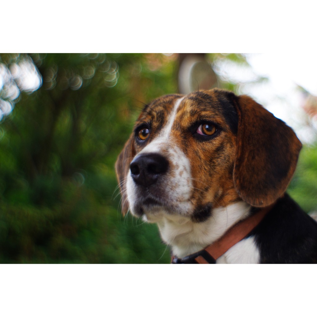 Ống kính máy ảnh Spiratone 28mm f2.0 MF Minolta MD  - 14645