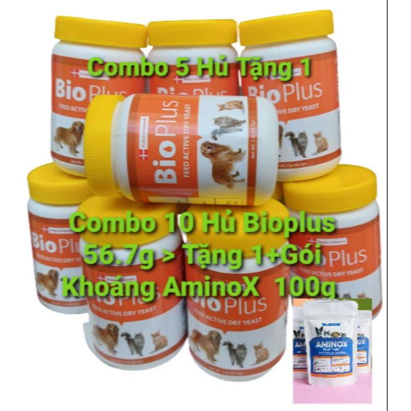 Combo 10 Hủ Cốm Tiêu Hóa chó Mèo Tặng 1+ Khoáng AminoX 100g#56.7g