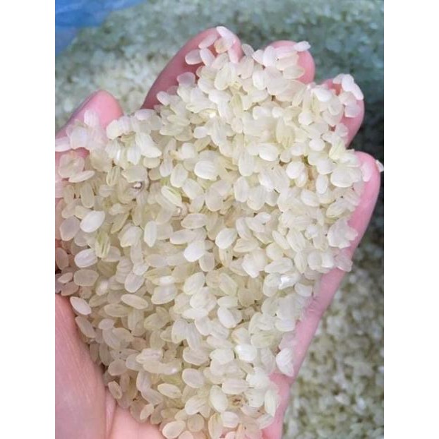 doanhcbGạo khảu hang - lúa nếp non tú lệ