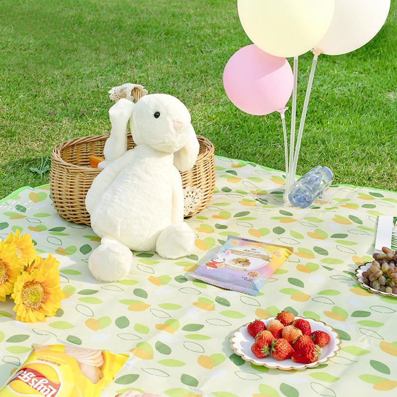 Thảm trải picnic xinh xắn , thảm dã ngoại, tấm trải đi picnic