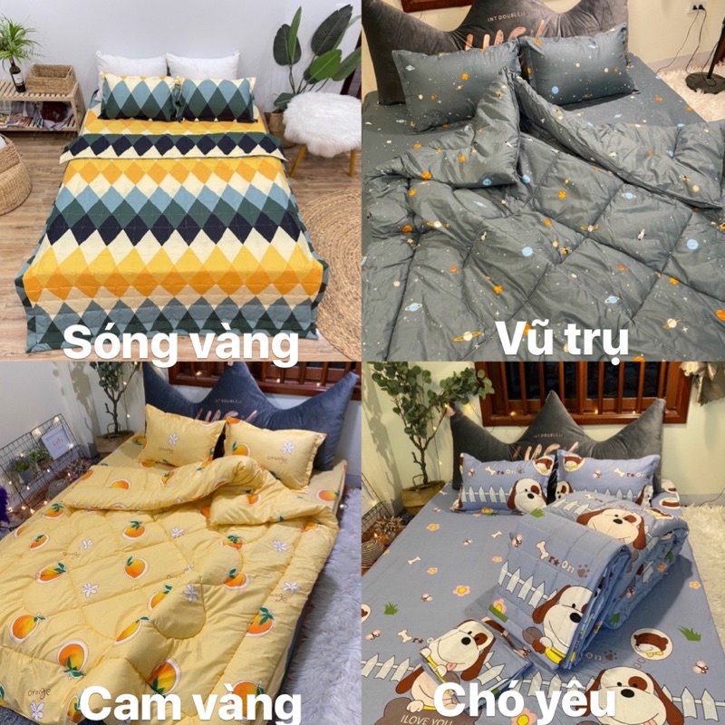 Set Ga gối Cotton poly ngộ nghĩnh, đáng yêu, màu mới nhất | BigBuy360 - bigbuy360.vn