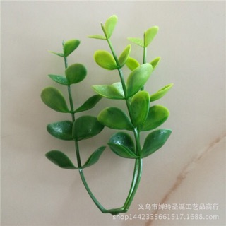 Cỏ cân thanh lý 100k/kg
