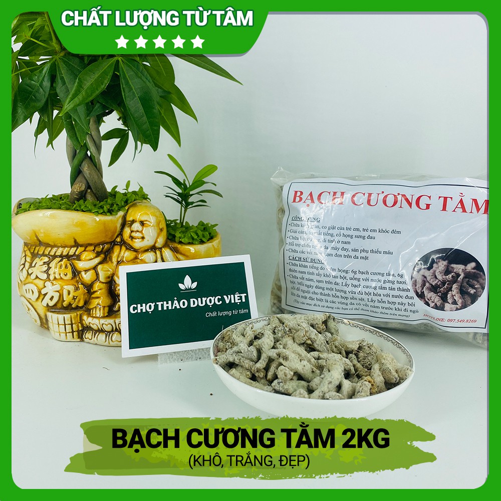 [Giá sỉ] 2kg Bạch Cương Tằm (Khô, trắng, đẹp)