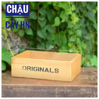 🔥Chậu gỗ Original trồng cây tiểu cảnh