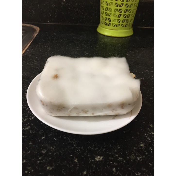 Men làm tempeh Indonesia truyền thống gói 50g/100g/500g