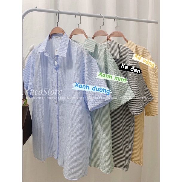Áo Sơ Mi Cộc Tay Kẻ Nhỏ Basic Nhiều màu | BigBuy360 - bigbuy360.vn