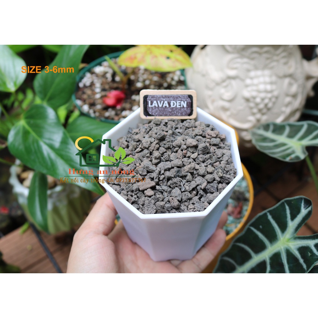 Các loại giá thể đất, đá, rêu, phân bón, chuyên trồng sen đá, xương rồng, bonsai, kiểng lá, cây kiểng...