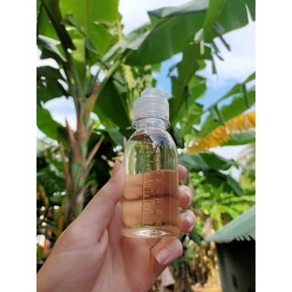 Dầu dừa nguyên chất nấu thủ công