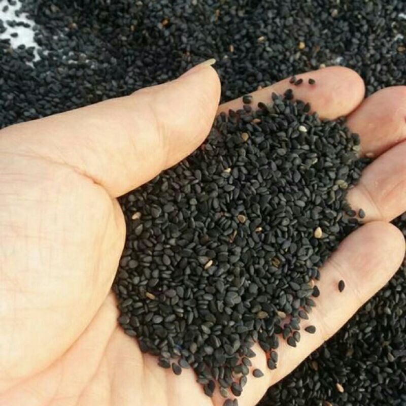 Sỉ giá gốc vừng đen 100g - 200g - 300g