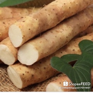 Nông Sản Sạch Bà Rịa