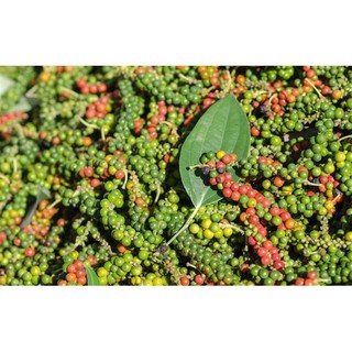 200g Hạt tiêu đen Đắc Lắc (cay, thơm)