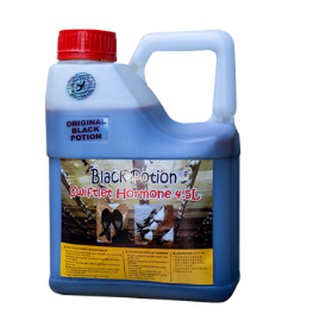 DUNG DỊCH NHÀ YẾN BLACK POTION