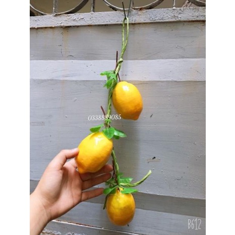 Phụ kiện chụp ảnh, hoa quả giả trang trí, sẵn kho ạ