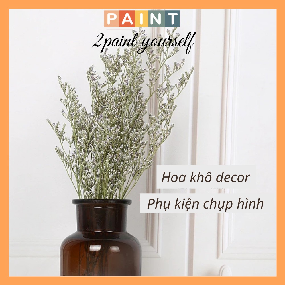 Hoa sao khô decor 30cm trang trí phòng, bàn làm việc đẹp (Bó hoa cắm được 1 lọ hoa như video)