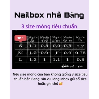 Nailbox mắt mèo charm bướm