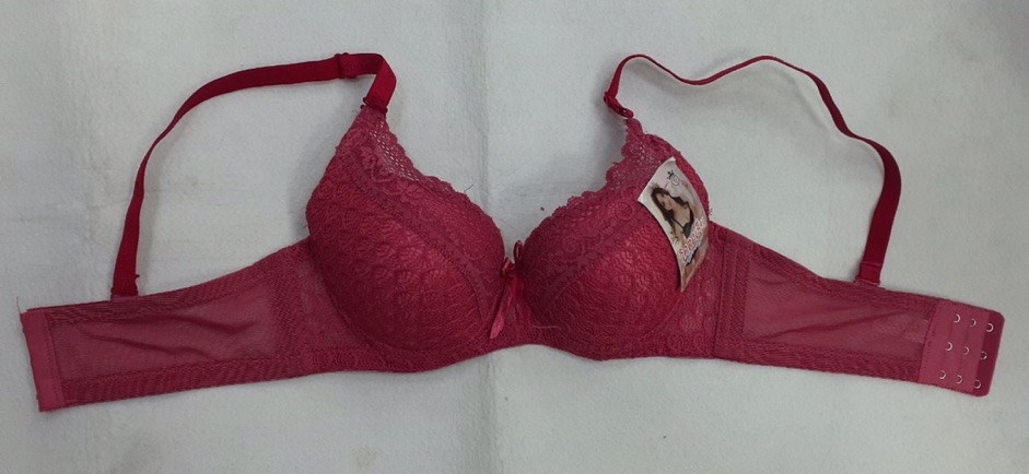 Áo ngực (6040) mút vừa 2cm cài sau 3 móc