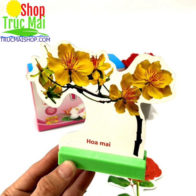 Thẻ Học Flashcards Song Ngữ Anh Việt Loại Có Đế Đứng Bibo