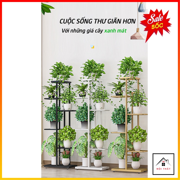 Kệ Để Cây Cảnh - Giá Để Cây Cảnh Chậu Hoa Trong Nhà