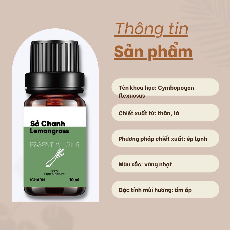 Tinh dầu sả chanh 10ml, 50ml iCHARMvn - không chất tạo mùi, nguyên chất 100%