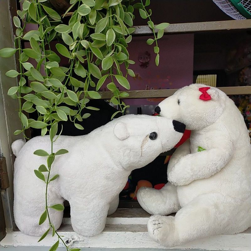Cặp gấu bông trắng bắc cực, size 25cm, 30k/cặp🥰🥰🥰