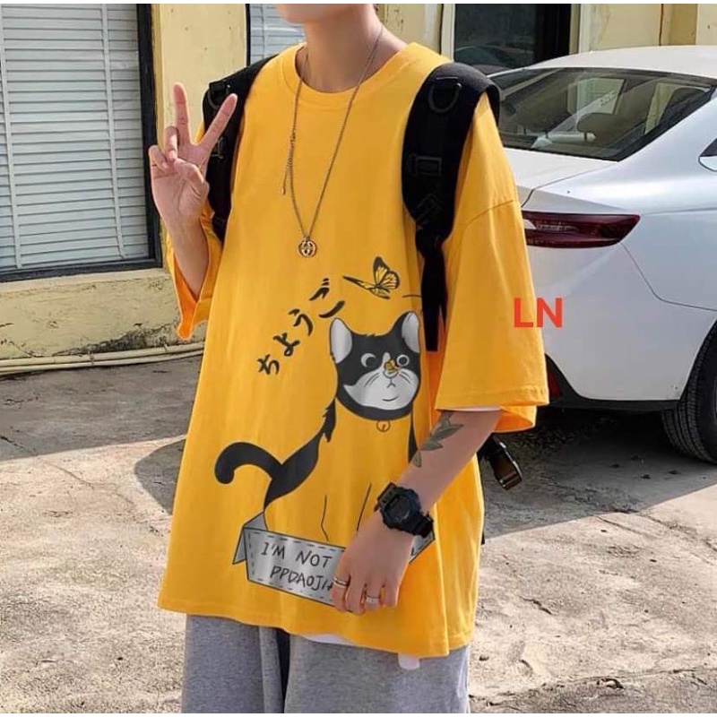 Áo phông mèo bướm chữ tàu DA6